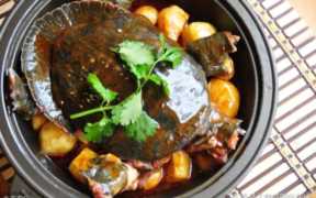 孕妇能吃鳖吗，怀孕了能吃鳖肉吗