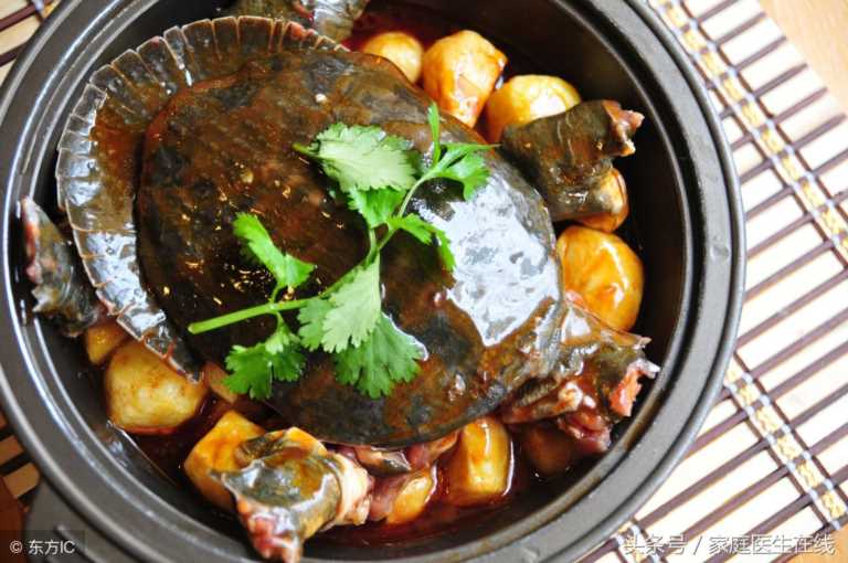 孕妇能吃鳖吗，怀孕了能吃鳖肉吗
