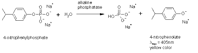 辟谣：碱性磷酸酶高，代表肝功能不好？听听医生怎么说
