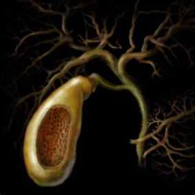 辟谣：碱性磷酸酶高，代表肝功能不好？听听医生怎么说