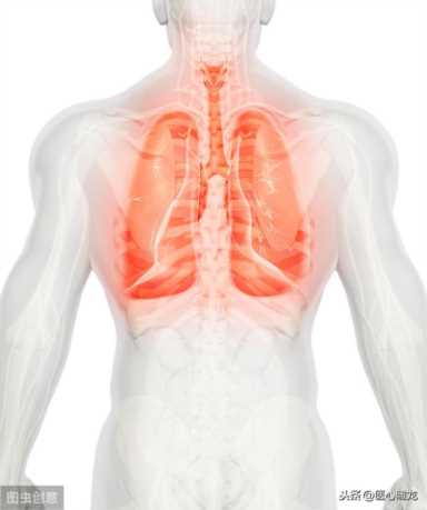 呼吸科中的“万金油”多索茶碱，既能平喘又能强心，让人又爱又恨