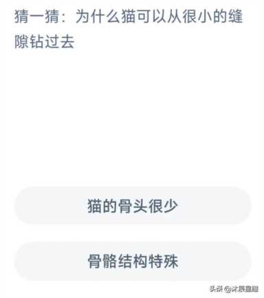 支付宝每日答题答案大全——今日答案