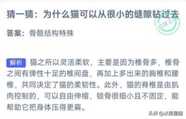 支付宝每日答题答案大全——今日答案