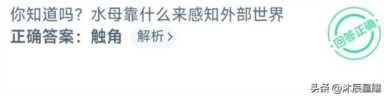 支付宝每日答题答案大全——今日答案