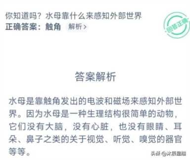 支付宝每日答题答案大全——今日答案