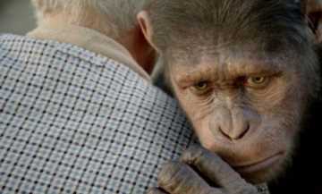 你看懂《猩球崛起3》了吗？凯撒对人类的宽容，从而一跃成“圣”