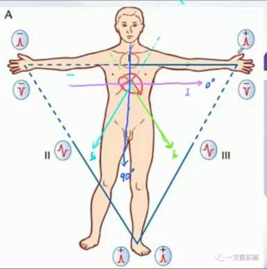 心电图九九八十一难之二爱因托芬三角和肢体导联