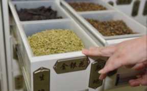 山楂干泡水喝有什么功效和作用，清热解毒补气养血吃什么中药