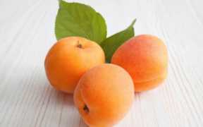 红杏功效与作用,吃红杏有什么好处和坏处