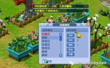 梦幻西游：搬砖系列——良心庭院