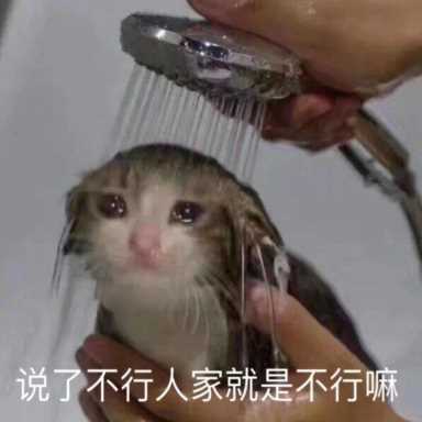 你用的30ml角鲨烷精油，装着一条条鲨鱼的生命