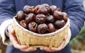 马蹄果和荸荠区别，马蹄荸荠的功效与作用