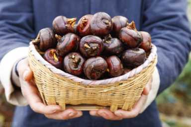 荸荠？马蹄？还是地栗？这种水果在你们那叫什么？