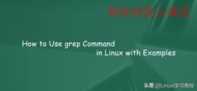 Linux三剑客之grep使用案例