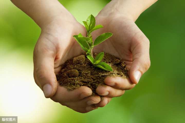 珊瑚呈现多种颜色的原因,珊瑚的颜色由什么决定