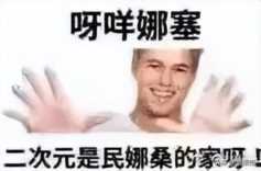 二次元害人案例，二次元祸害青少年