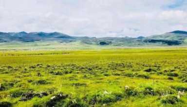 跟随我，从西安出发，到**去走走吧——（2）理塘与海子山