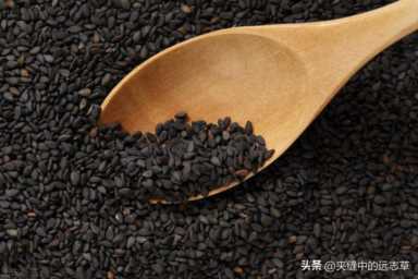送你一味黑芝麻，聪耳明目、乌发生发、润肠通便，滋补一身精血