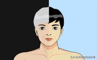 送你一味黑芝麻，聪耳明目、乌发生发、润肠通便，滋补一身精血