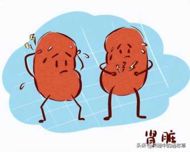 送你一味黑芝麻，聪耳明目、乌发生发、润肠通便，滋补一身精血