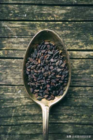 送你一味黑芝麻，聪耳明目、乌发生发、润肠通便，滋补一身精血