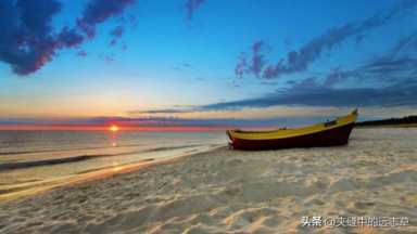 送你一味黑芝麻，聪耳明目、乌发生发、润肠通便，滋补一身精血