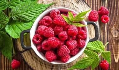 你知道吗？有特色的种植业才能赚大钱，5个农村优质的创业项目