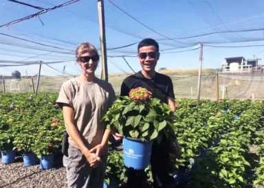 你知道吗？有特色的种植业才能赚大钱，5个农村优质的创业项目