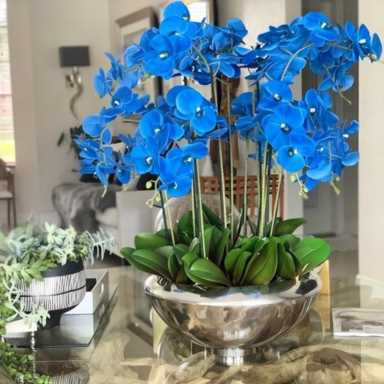 你知道吗？有特色的种植业才能赚大钱，5个农村优质的创业项目