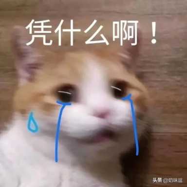 快递单号自动查询，一键查找某个快递信息，物流单号查询