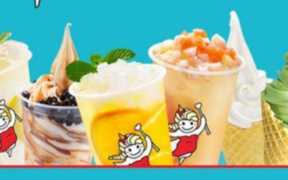 加盟奶茶店,奶茶加盟店材料为什么那么贵