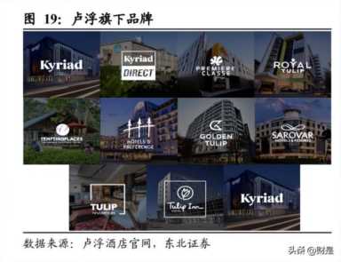 上海锦江之星连锁酒店官网,锦江酒店市场占有率插图5 锦江酒店研究报告:集团赋能资源优渥,梳理整合提质增效
