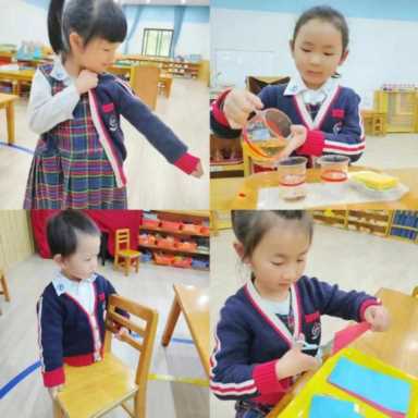 选择成都青羊区育文蒙特梭利幼儿园的十个理由，每一个都让你心动