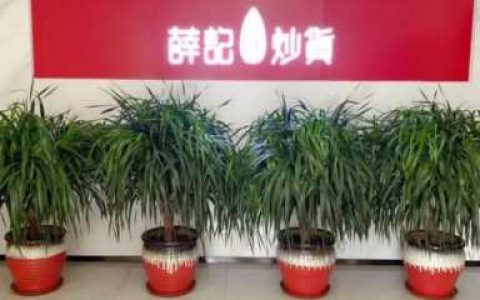薛记炒货加盟电话,薛记炒货如何加盟