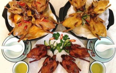 特色鸽子餐饮加盟品牌，以鸽子为特色的餐厅