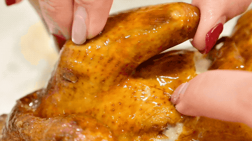特色鸽子餐饮加盟品牌，以鸽子为特色的餐厅
