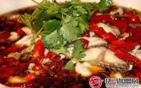 加盟鱼火锅费用多少钱,鱼火锅品牌加盟排行榜