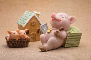 增加收入的几个建议