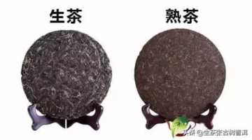 「干货」一分钟教你看懂普洱生茶和熟茶的区别！收藏备用