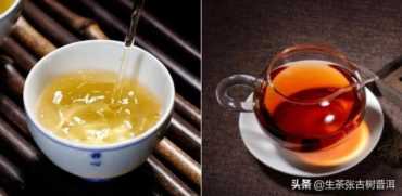 「干货」一分钟教你看懂普洱生茶和熟茶的区别！收藏备用