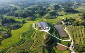 致富路有哪些项目,如何通过以致富路获得成功