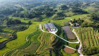 我看家乡新变化丨垫江大石村：种养结合走出“绿色”致富路