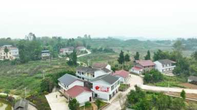 我看家乡新变化丨垫江大石村：种养结合走出“绿色”致富路