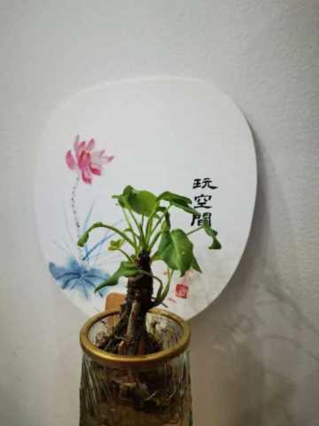 品牌茶楼加盟店排行榜,特色茶楼加盟店排行榜插图23 品牌茶楼加盟店排行榜,特色茶楼加盟店排行榜