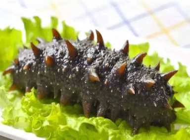 海参的家常做法大全,家常烹制新鲜海参的做法插图19 18种海参的美味做法