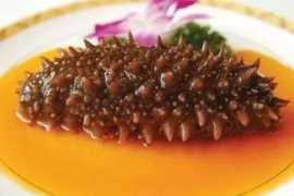 海参的家常做法大全,家常烹制新鲜海参的做法插图17 18种海参的美味做法