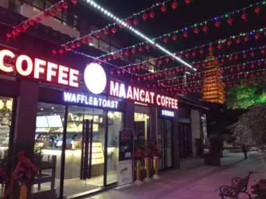 漫猫咖啡和星巴克对比,漫猫咖啡馆怎么样插图7 咖啡加盟10大品牌 漫猫咖啡是你大展拳脚的好选择