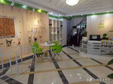 宠物店一年利润怎么样,宠物店年度利润分析插图1 开宠物店利润怎么样?