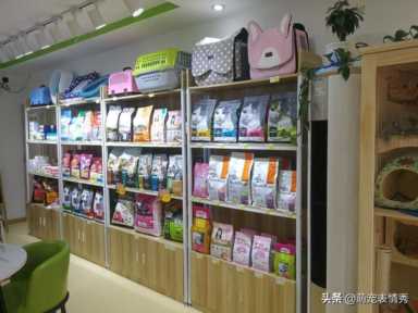 宠物店一年利润怎么样,宠物店年度利润分析插图3 开宠物店利润怎么样?