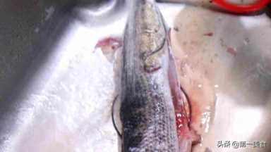 水煮鱼片的做法,如何做水煮鱼片插图3 厨师长教你鱼肉的好吃做法,鱼片洁白滑嫩,吃一次,美味忘不了